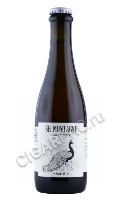 Ca del Brado Sei Montagne Sour Ale Пиво Сей Монтань 0.375л