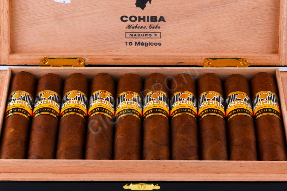 Cohiba Maduro 5 Magicos 10 штук