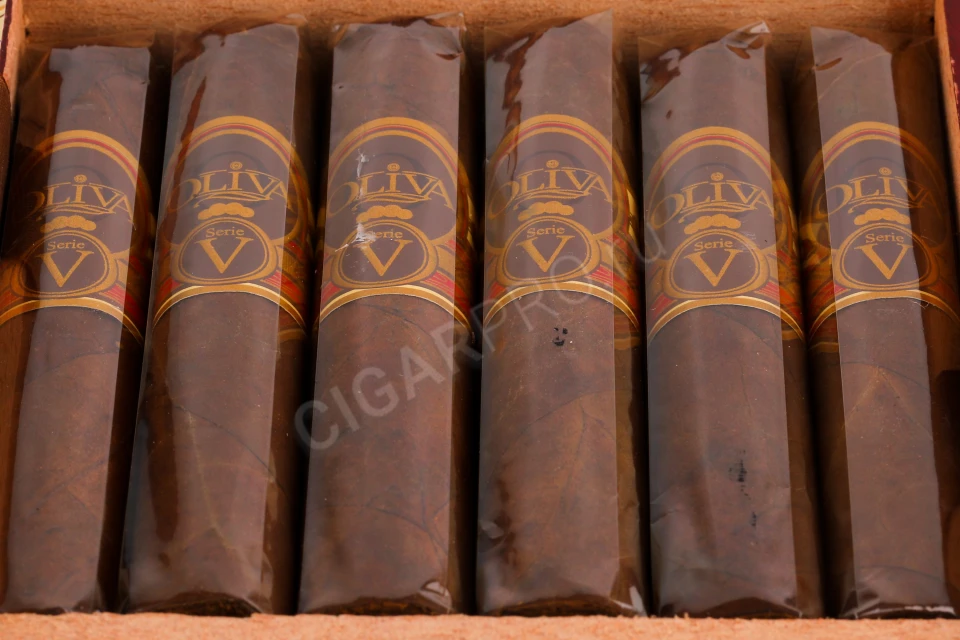 Oliva Serie V Double Robusto