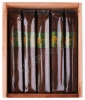 Сигары Principle Accomplice Maduro Green Band Robusto